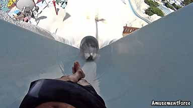 Disney's Blizzard Beach 11