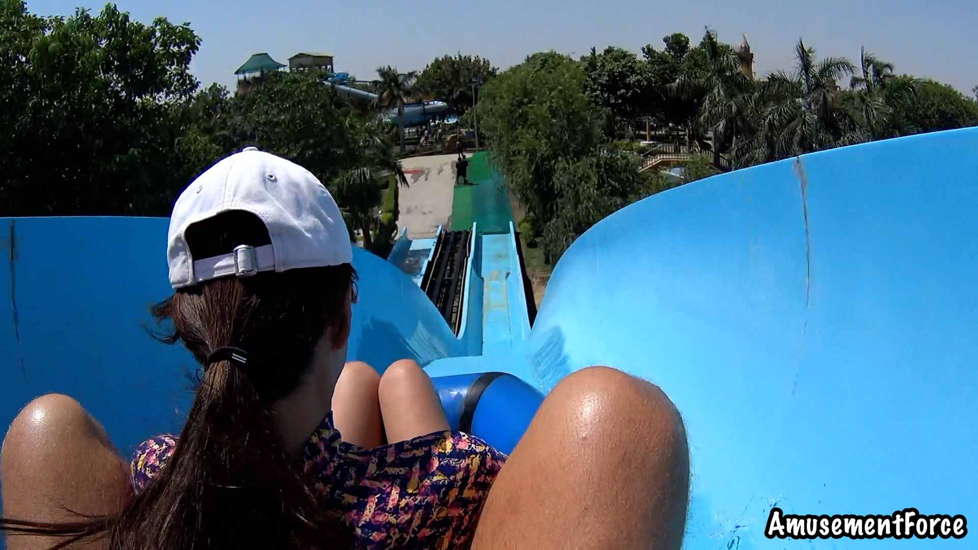 Dolphin The Water World 2