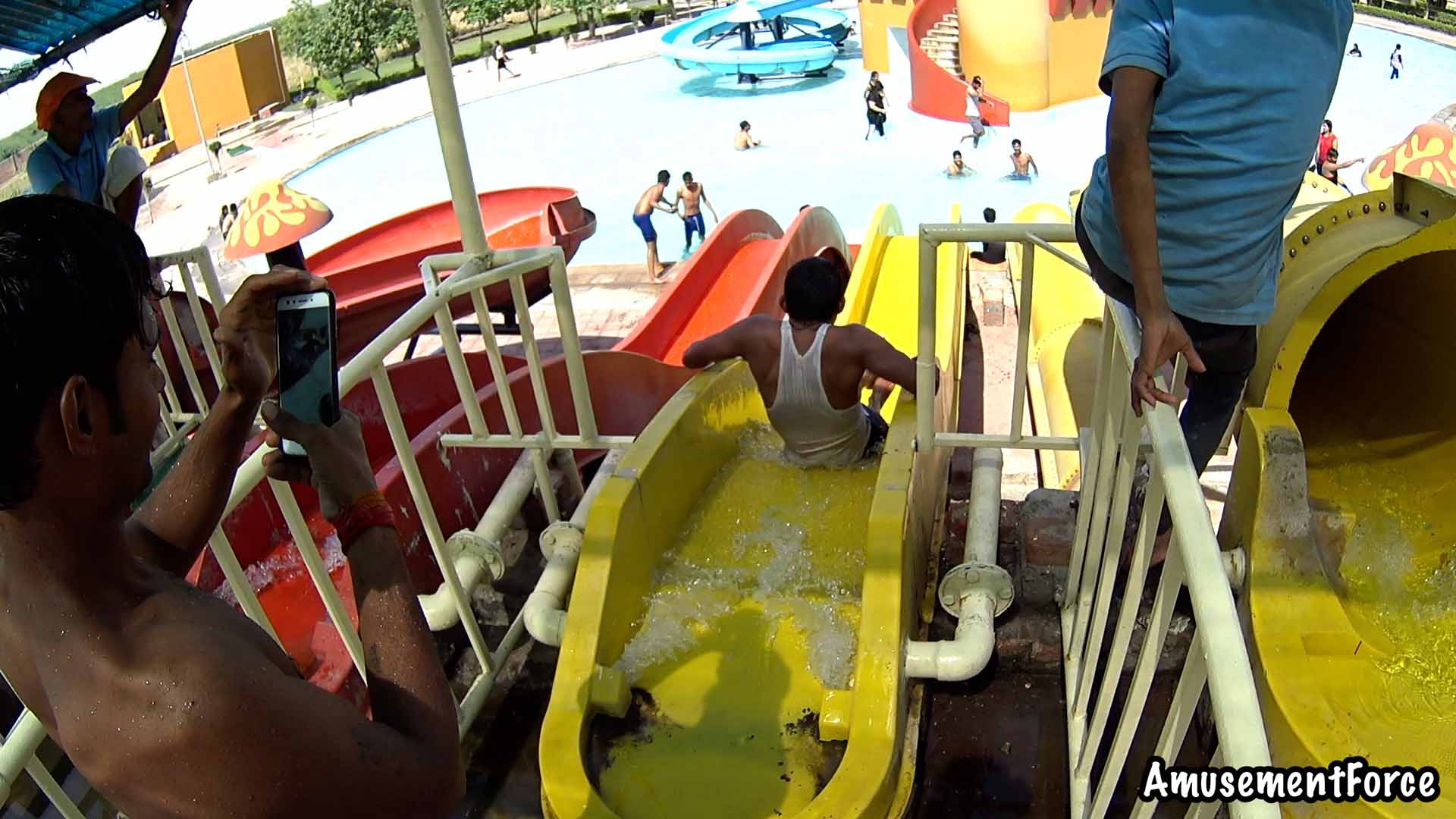 Dolphin The Water World 7