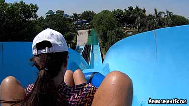 Dolphin The Water World 2