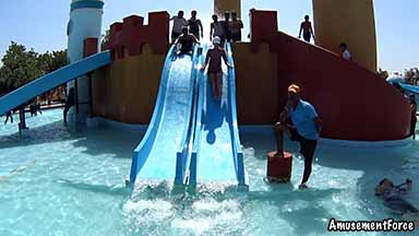 Dolphin The Water World 4