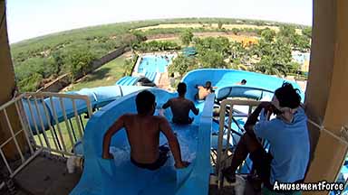 Dolphin The Water World 10
