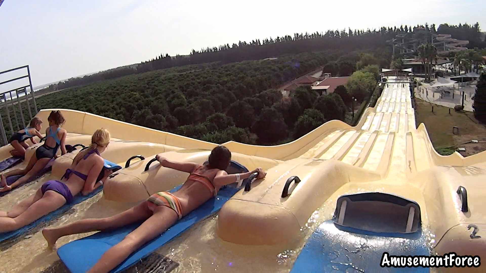 Fasouri Watermania 12