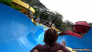 Splash Island 25