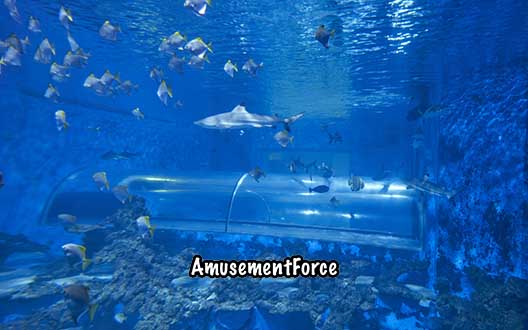 Aquapark Reda indoor waterpark in Reda, Poland