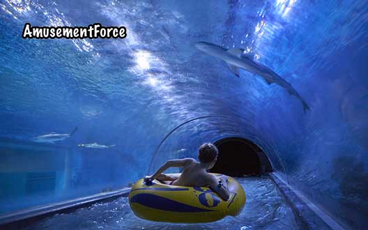 Aquapark Reda indoor waterpark in Reda, Poland