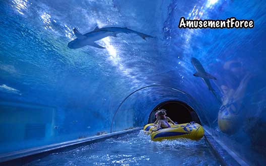 Aquapark Reda indoor waterpark in Reda, Poland